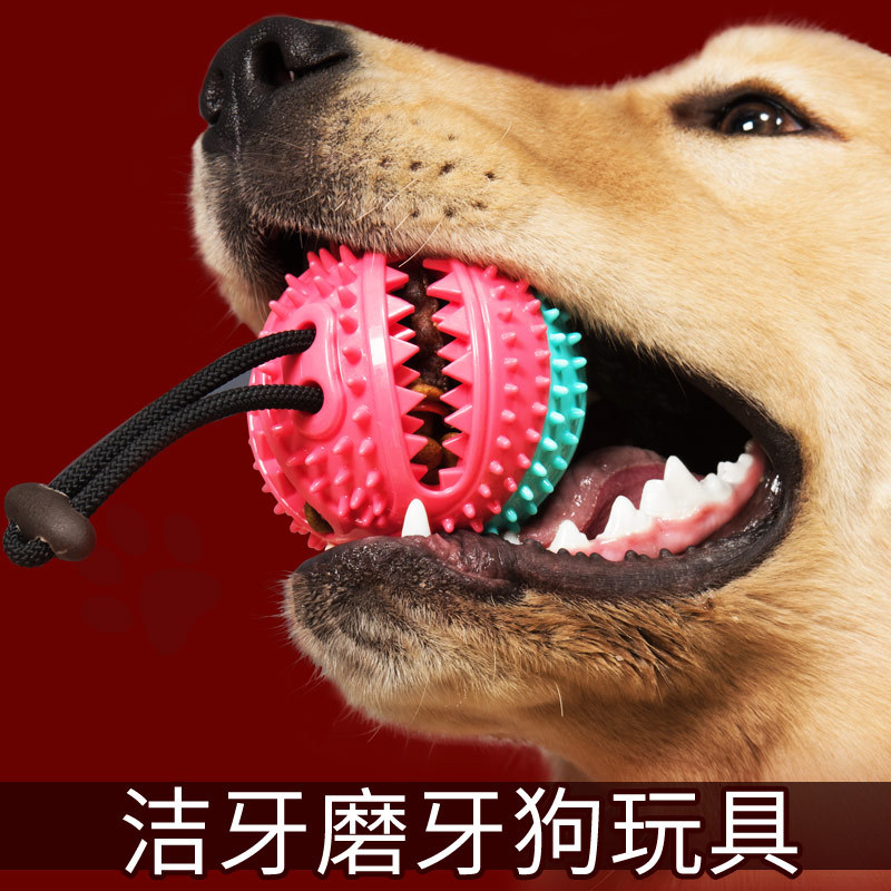c3716dccb8ce4a928067d5540331176b.jpg