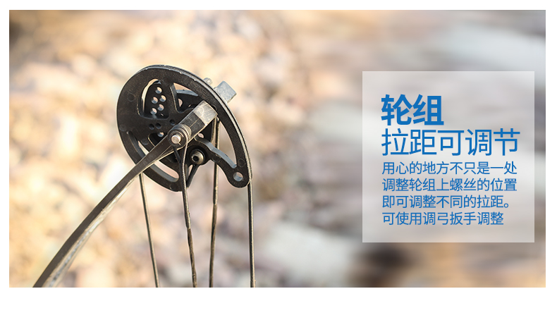 鹰隼spgs1复合滑轮弓